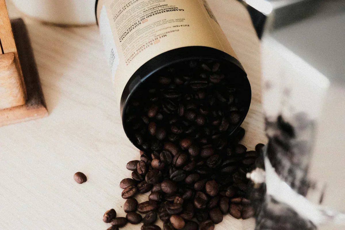 Kaffee richtig lagern: Wie Du das volle Aroma Deiner Specialty Coffee Bohnen bewahrst