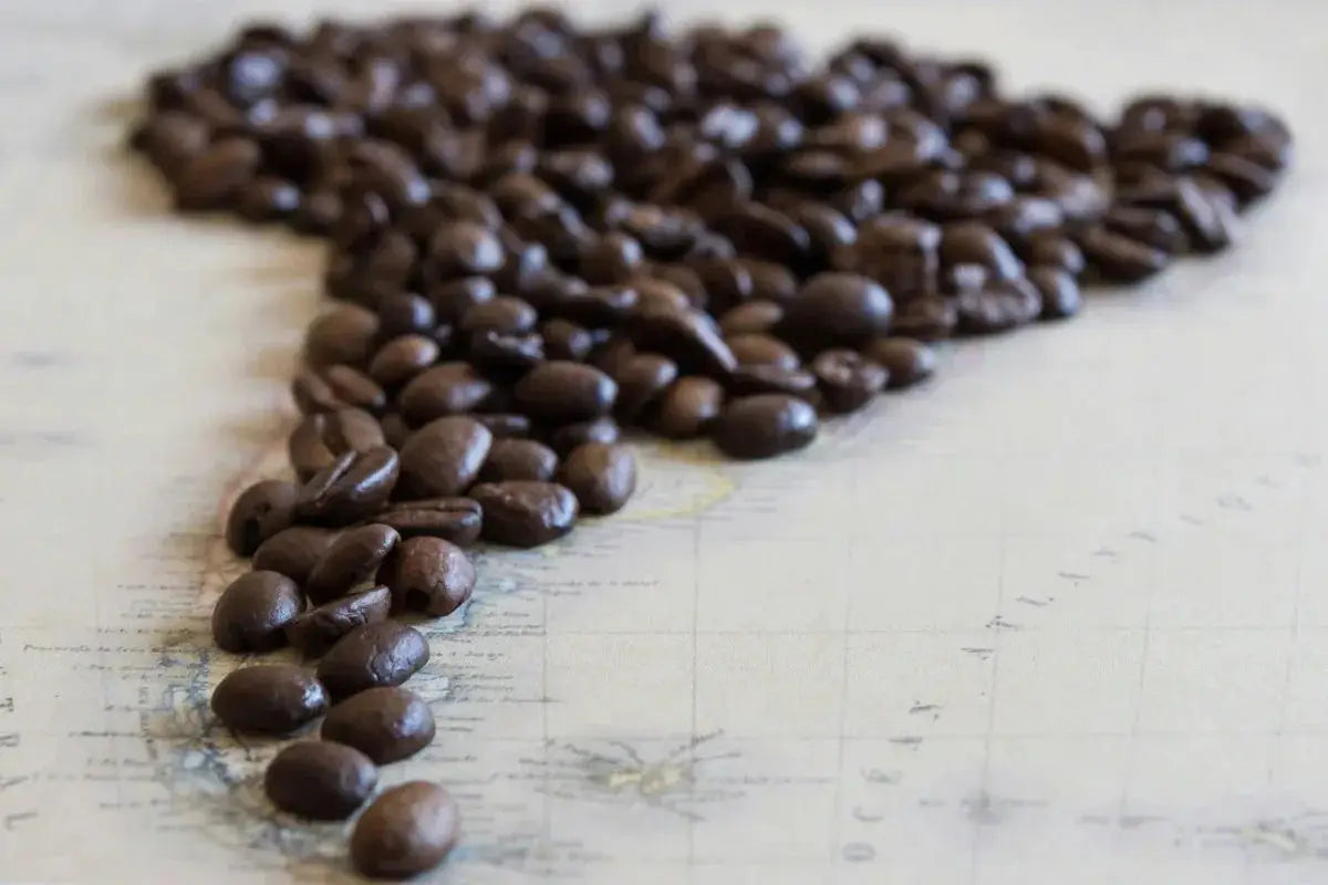 Der Kaffeegürtel: Warum Dein Kaffee nur aus einem schmalen Streifen der Welt kommt