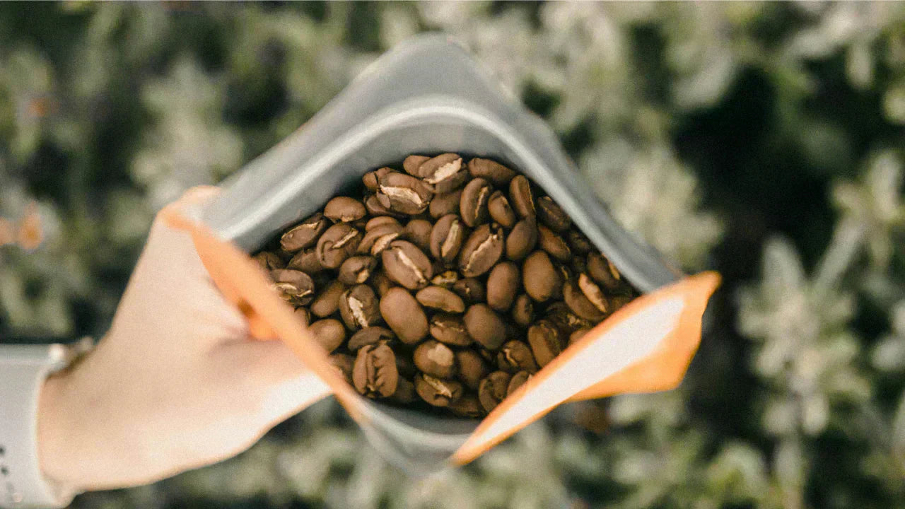 Fair Trade & Direct Trade - Das sind die Unterschiede