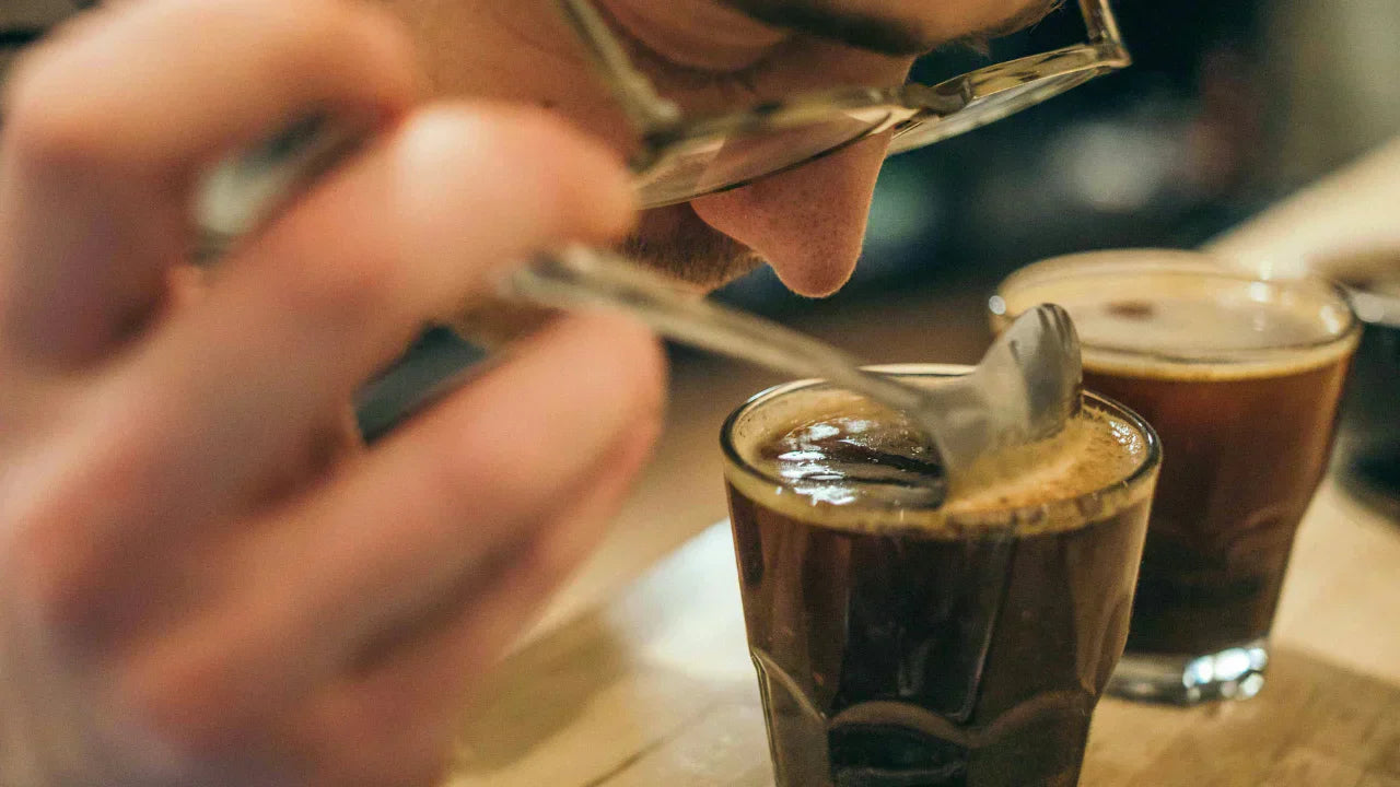 Kaffee richtig schmecken lernen: Die einfache Methode für Dein eigenes Tasting zu Hause - Waltberg Kaffee