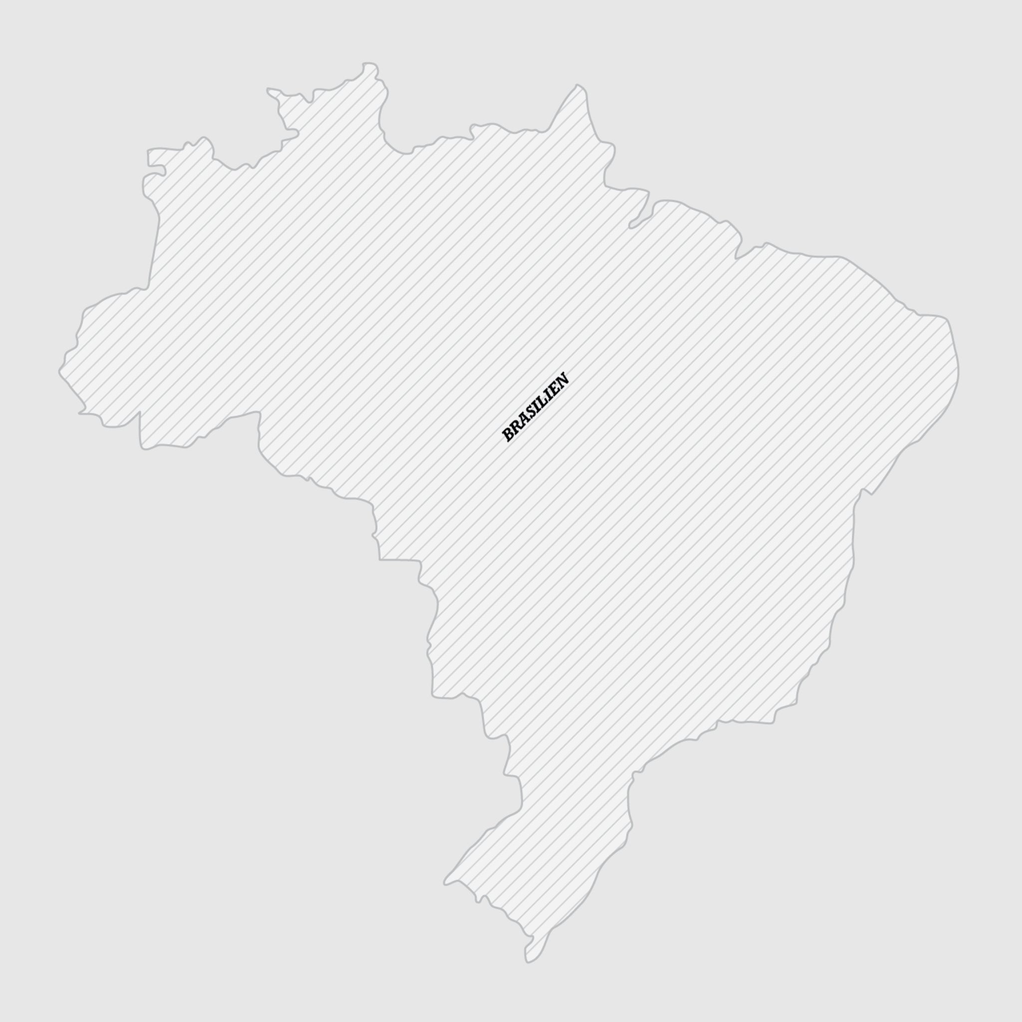 Andrade No.1901 Map Waltberg Kaffee