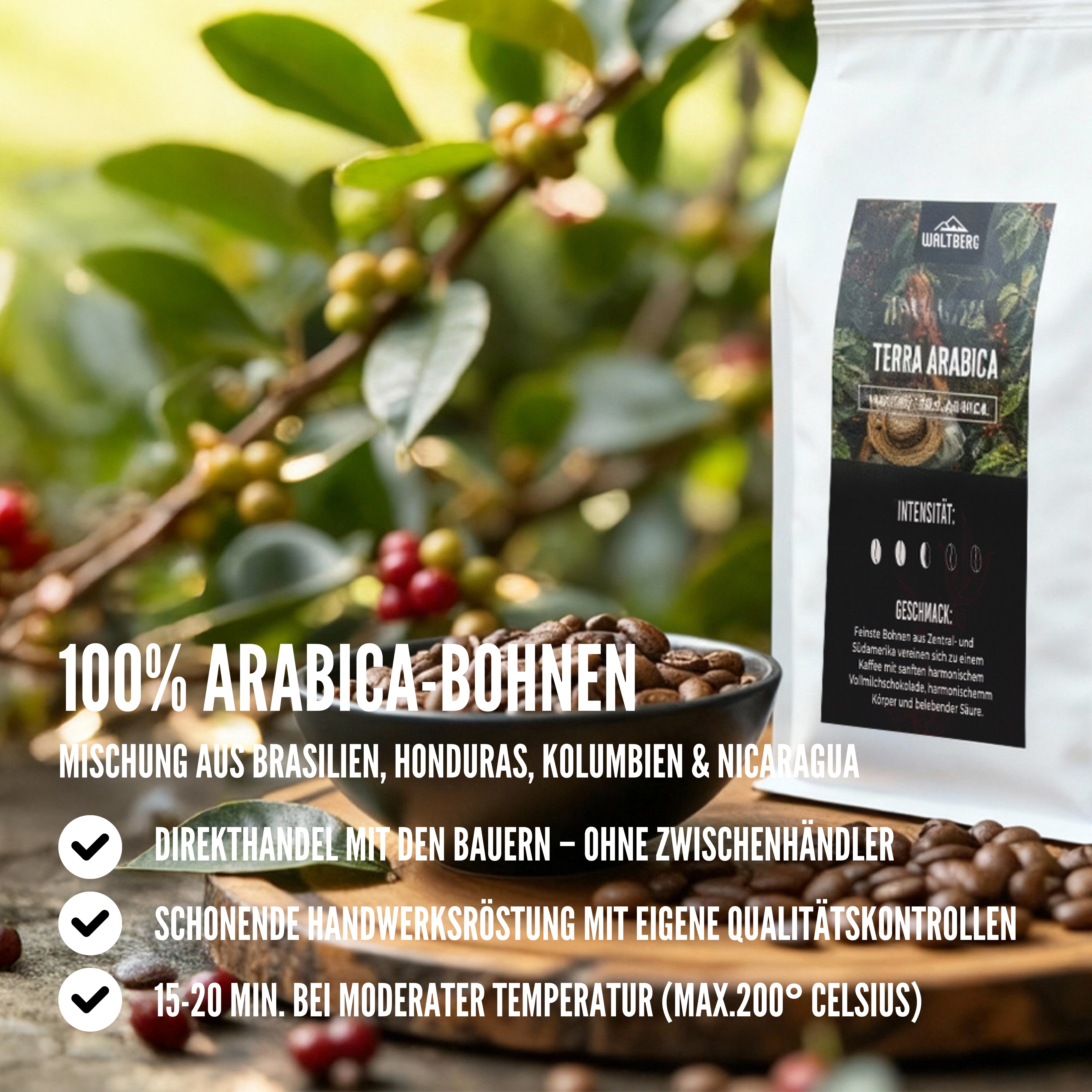 Terra Arabica Beschreibung - Waltberg Kaffee