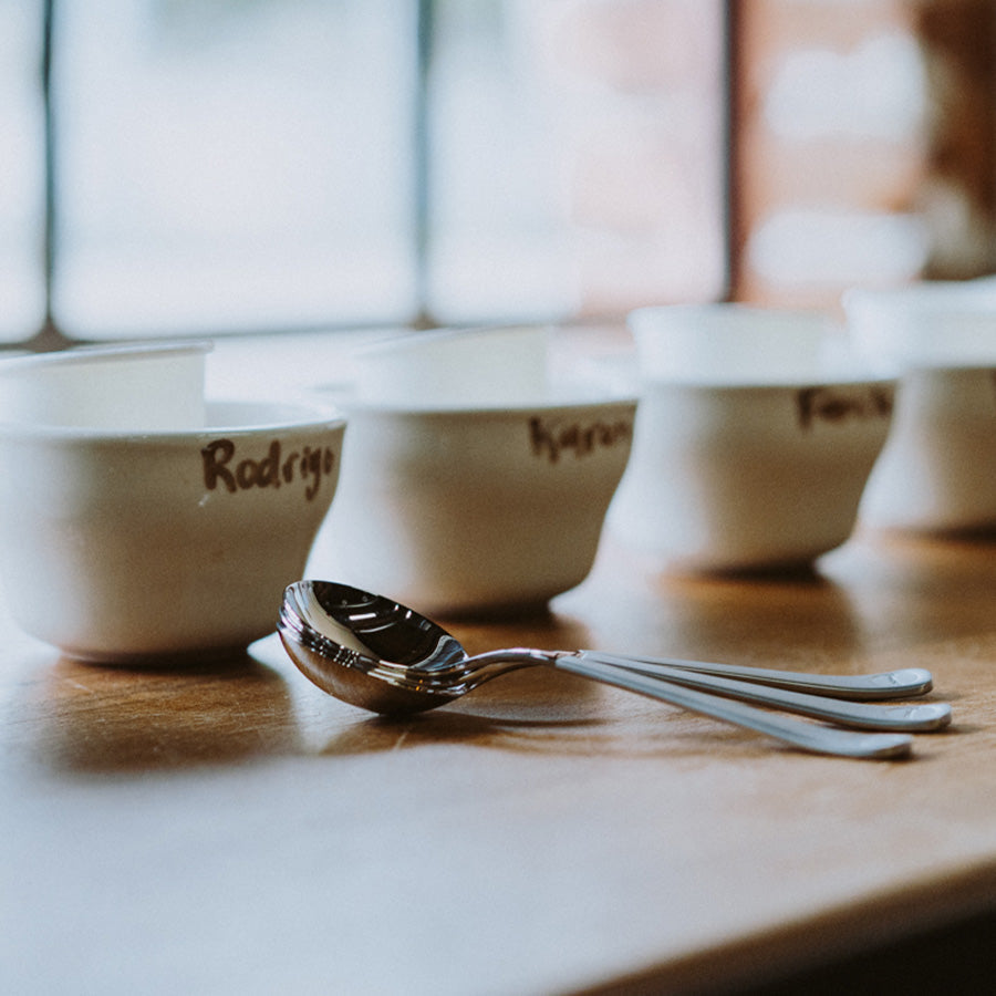 brewista Professional Cupping Spoon (Titanium - Stainless) - Kaffeezubehör