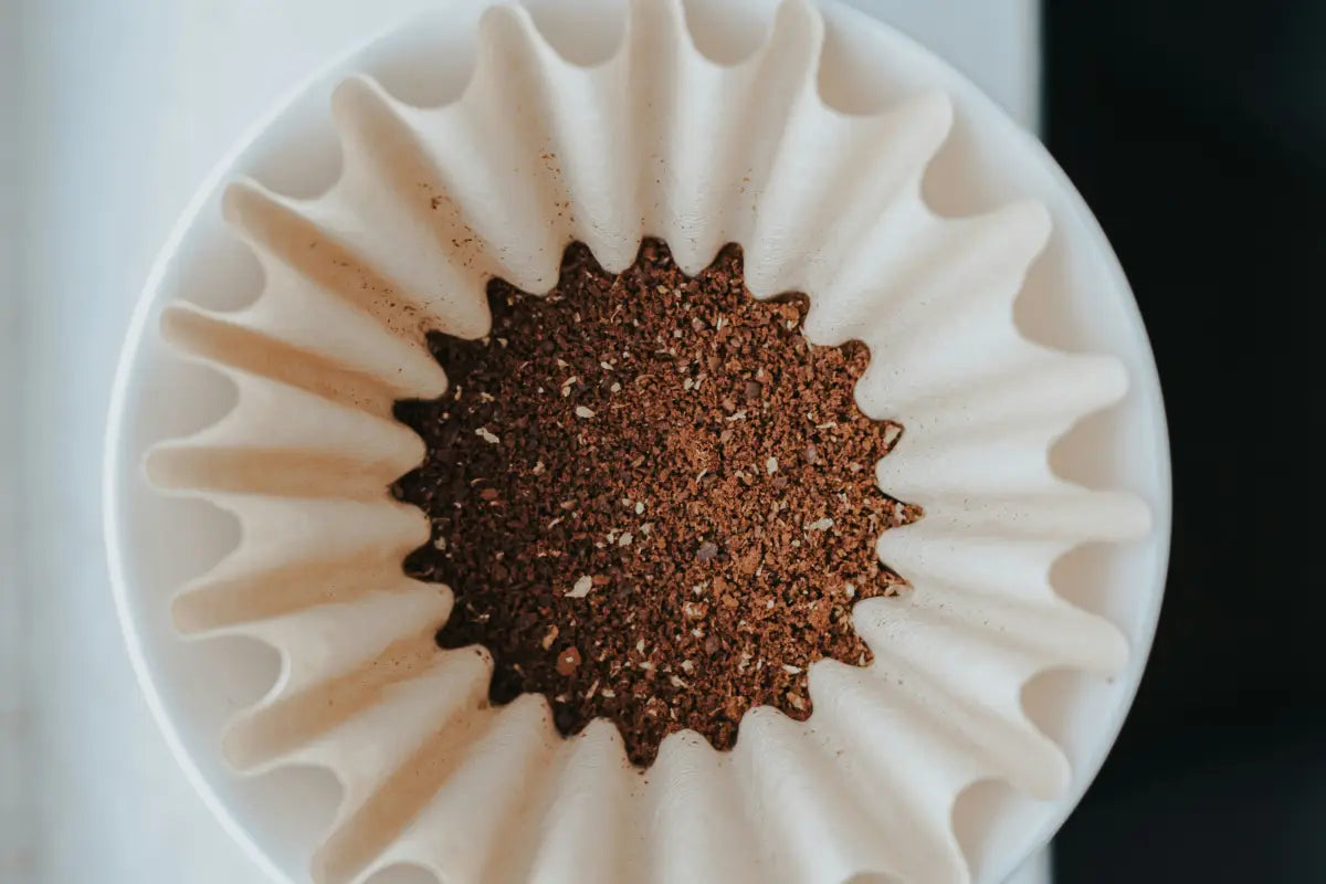 10 Kaffee-Fakten, die Du wissen solltest - Waltberg Kaffee