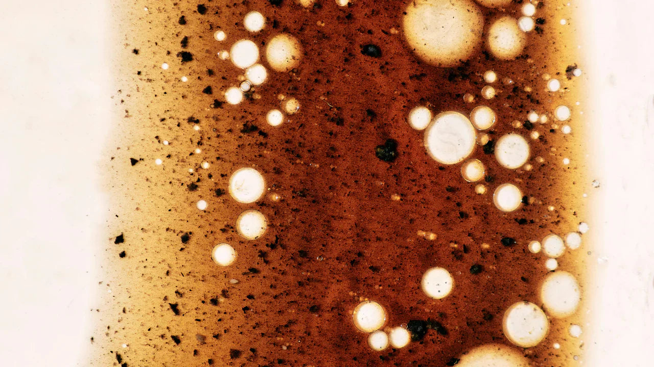 Kaffeefette und Gesundheit: Was Du wirklich wissen solltest