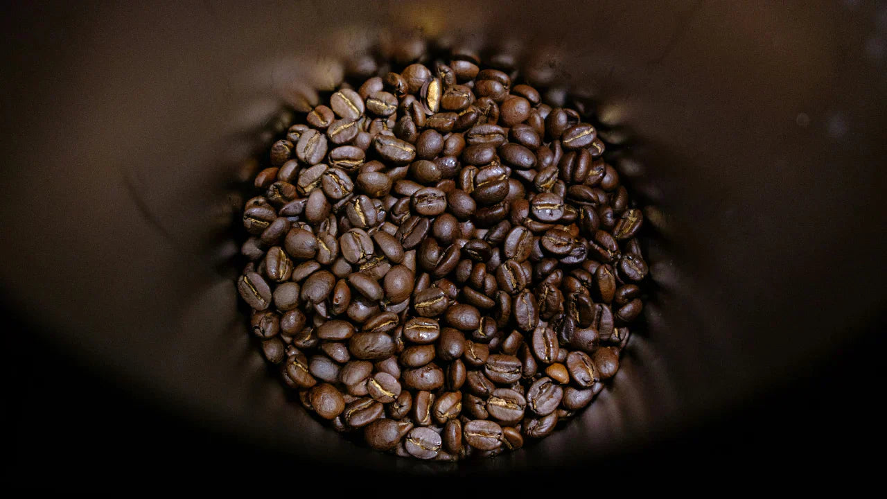 Von Light Roast bis Dark Roast: Die wichtigsten Unterschiede im Überblick