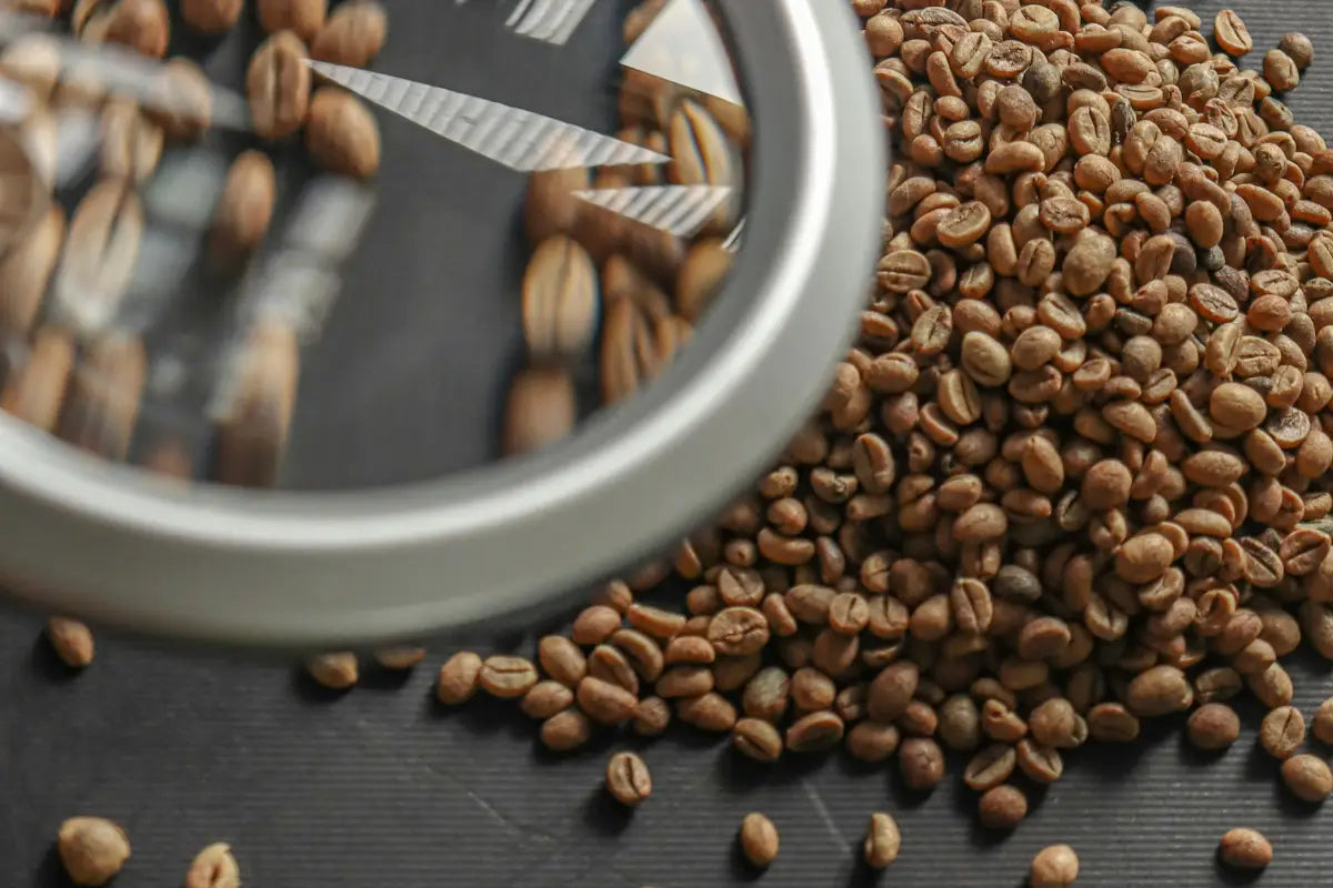Warum gute Kaffeequalität schon auf der Farm entschieden