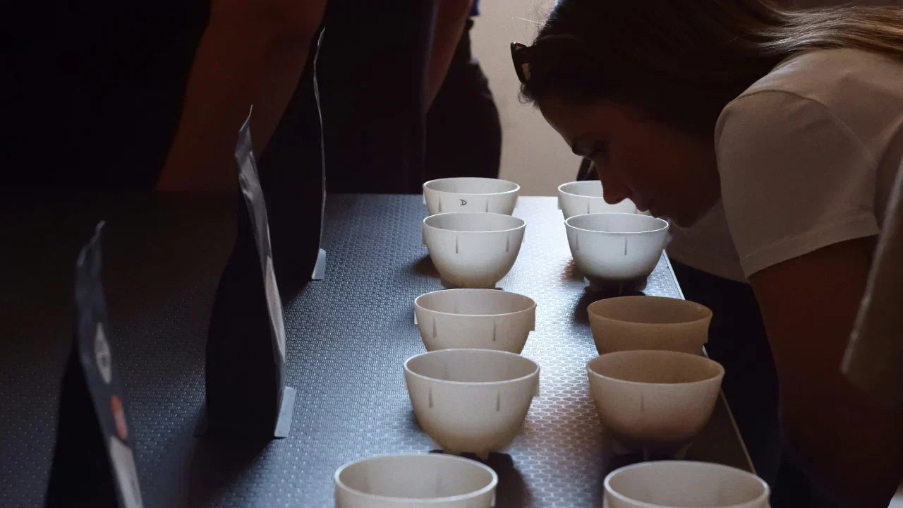 Was ist der Cup of Excellence?