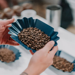 Cupping