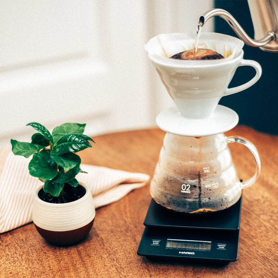 Hario Hario Drip Scale New - Waltberg Kaffee