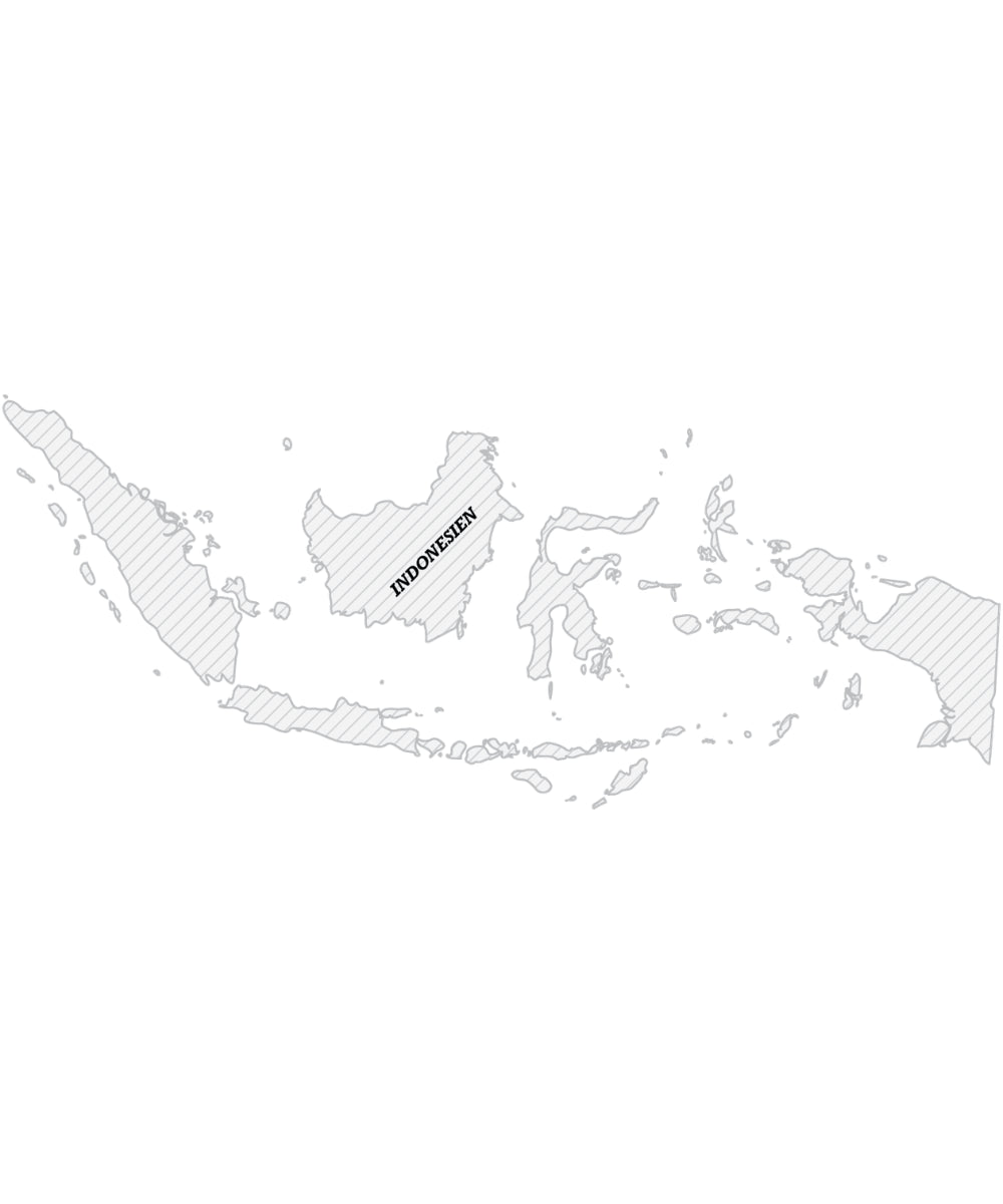 Indonesian Trinity - Waltberg Kaffee