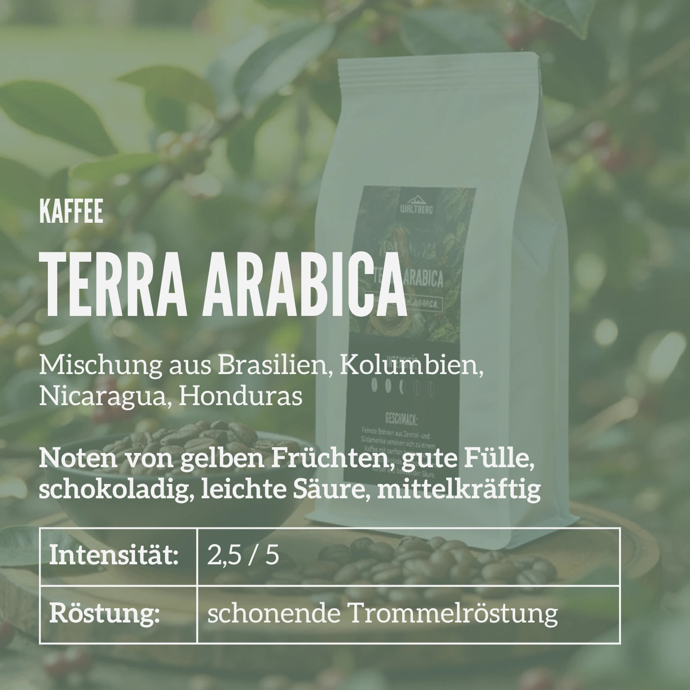 Infokarte Terra Arabica von Waltberg Kaffee