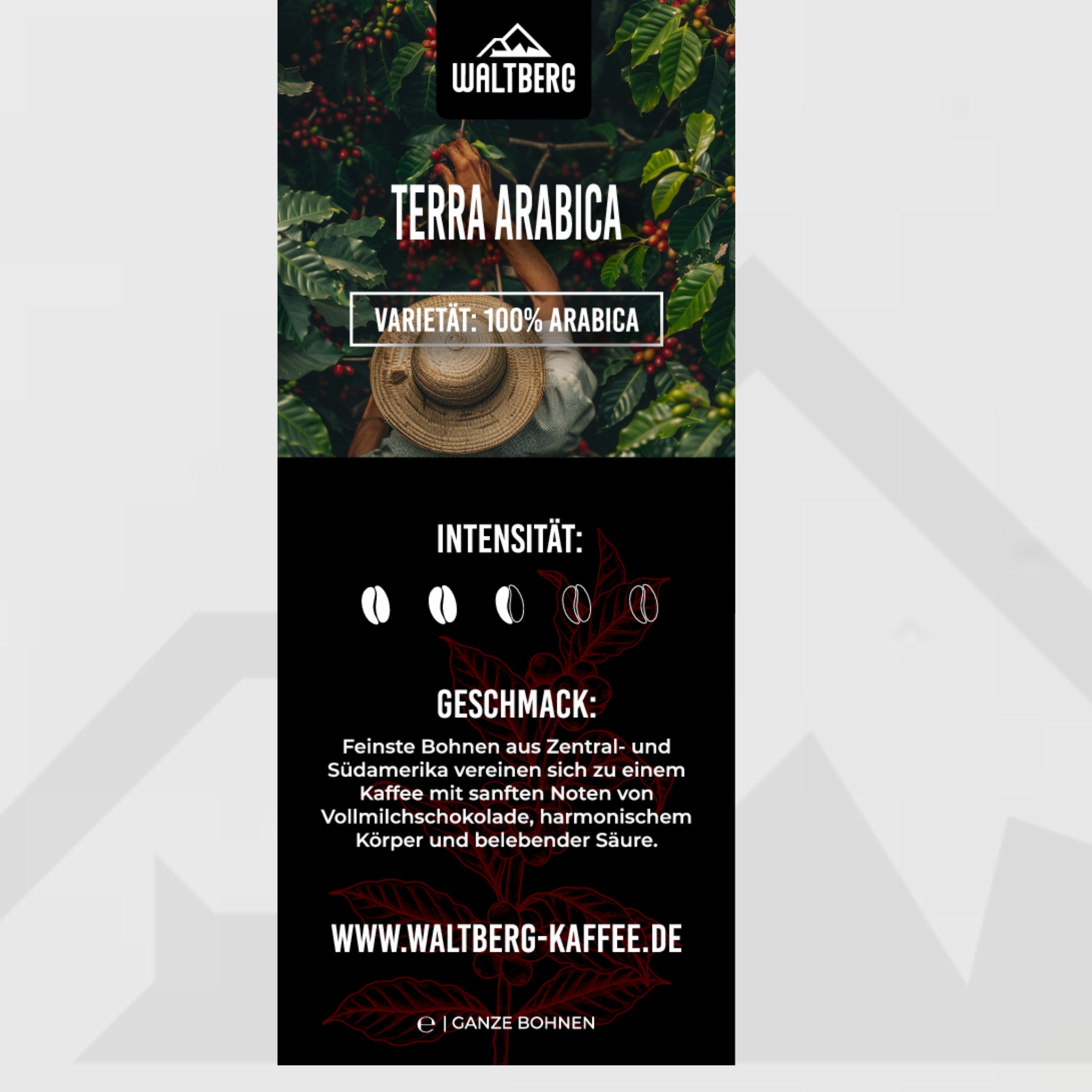Terra Arabica