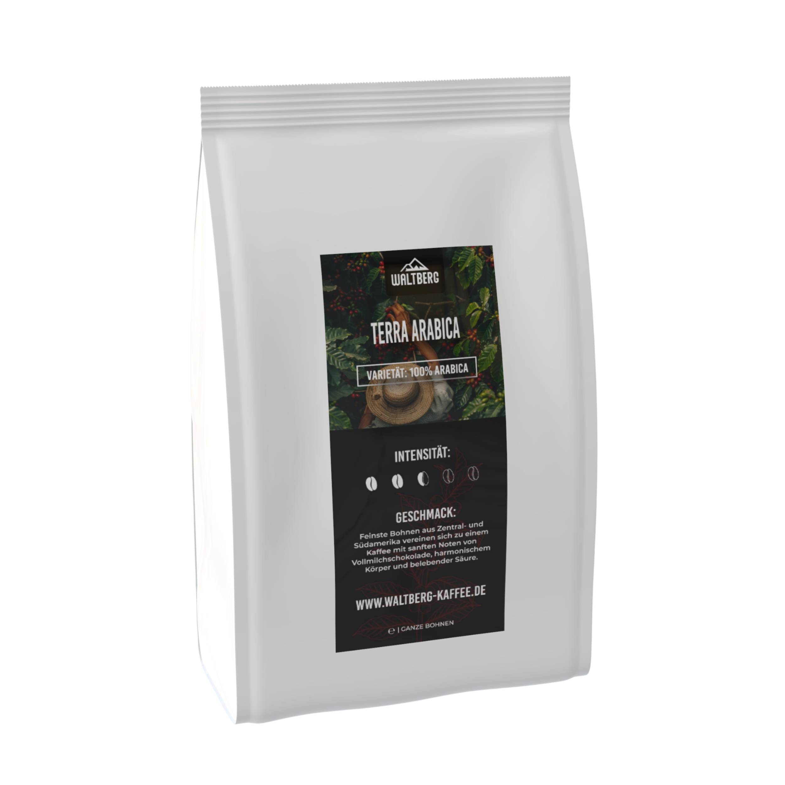 Terra Arabica