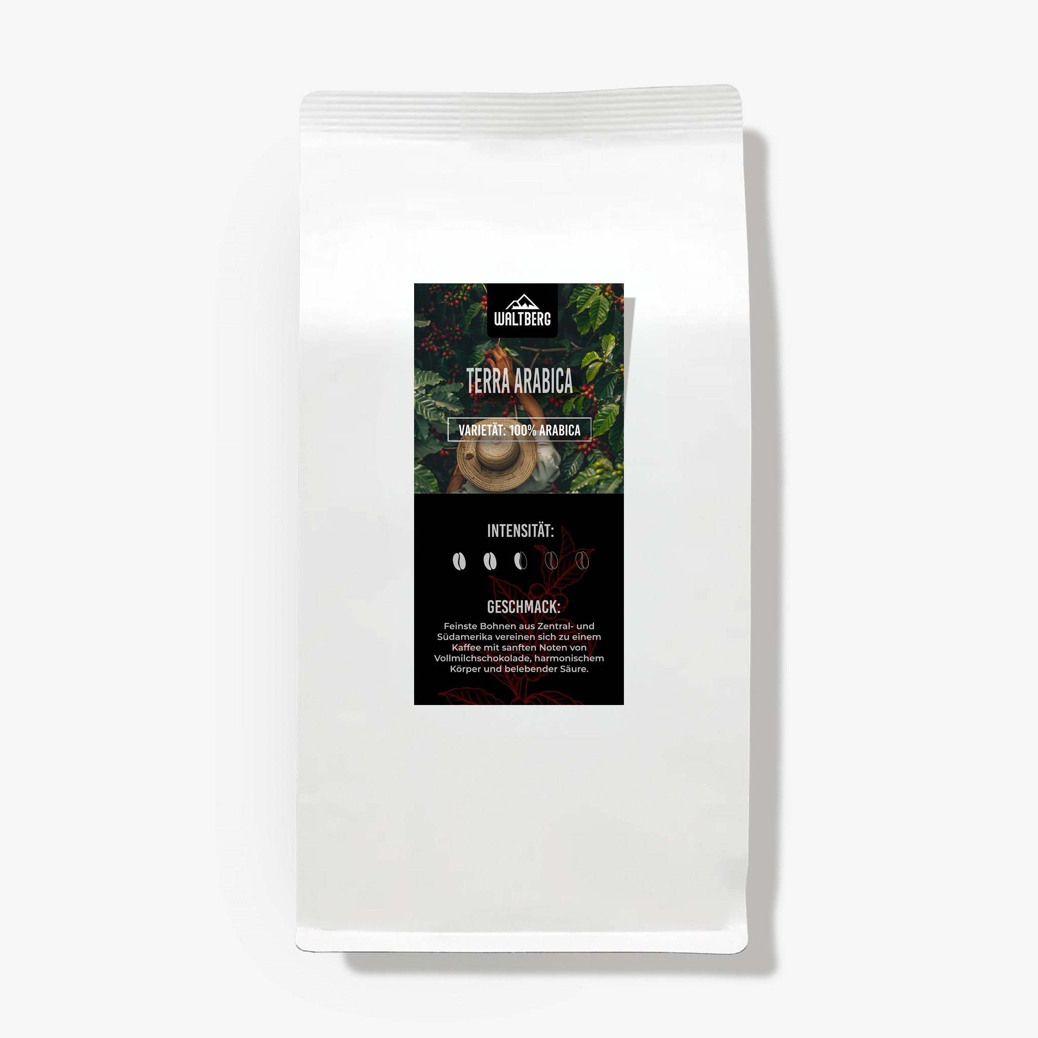 Terra Arabica