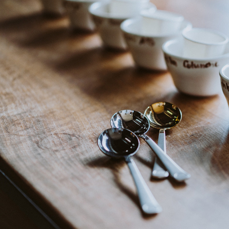 brewista Professional Cupping Spoon (Titanium - Stainless) - Kaffeezubehör