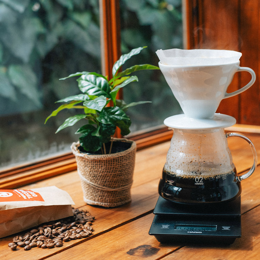Hario Coffee Dripper V60 02 - Kaffeezubehör