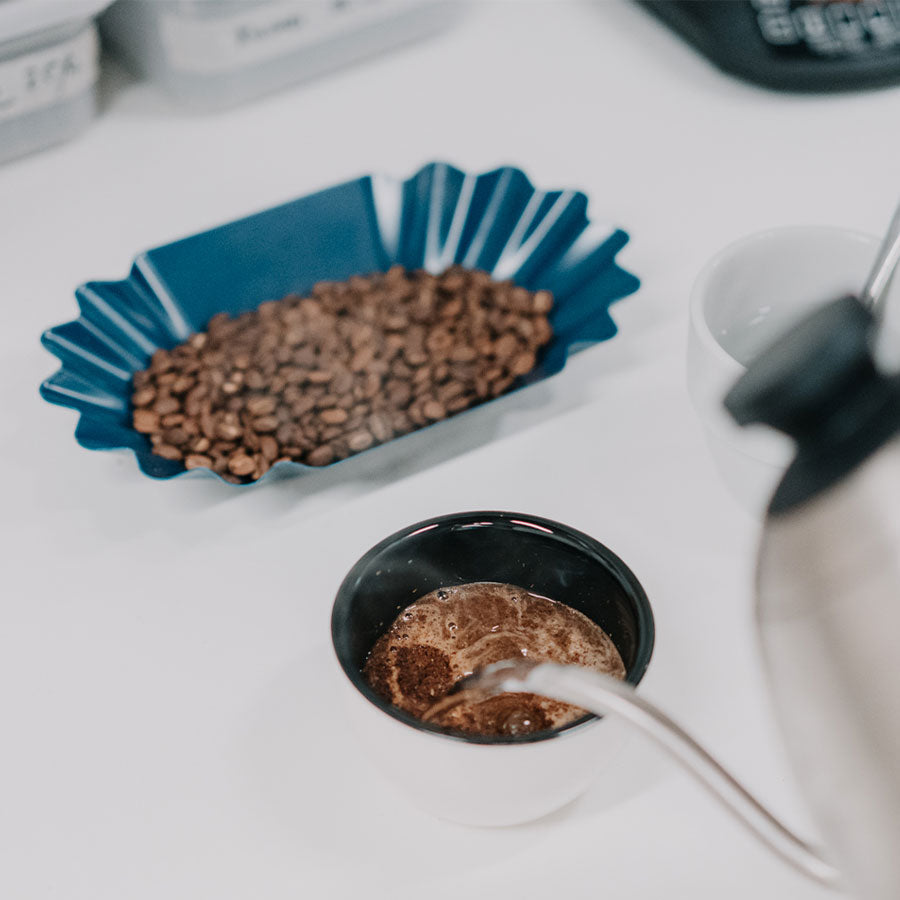 Rhino Coffee Gear Cupping-Tablett (12 Stück) - Kaffeezubehör