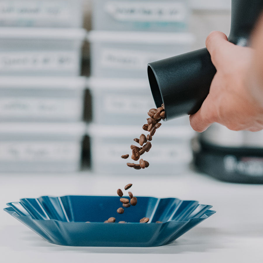 Rhino Coffee Gear Cupping-Tablett (12 Stück) - Kaffeezubehör